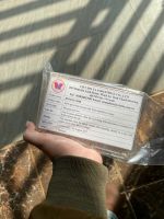 PREMIUM BEE HONEYCOMB / CLEANLY PACKED / NATURAL ORIGIN / FOOD GRADE