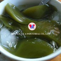 GREEN HERBAL JELLY / CLEAN ENERGY / GUT