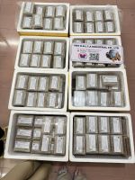 WILD HARVESTED HONEYCOMB / NON-GMO / NO ADDITIVES / NATURAL SWEETNESS