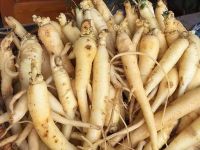 DANG SHEN ROOT / CLEAN LABEL / PLANT-BASED / WHOLE PIECES