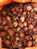 WILD DOCYNIA FRUIT SLICES / NATURAL SOURCE