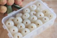 PREMIUM LYCHEE FREEZE / RICH IN ANTIOXIDANTS