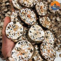 WILD GROWN BANANA DRIED / TRADITIONAL DRYING