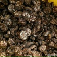 SUN-DRIED FOREST BANANA / NON-GMO