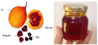HEALTHY GAC OIL / HEART SUPPORT / RICH IN PHYTONUTRIENTS / CLEAN LABEL