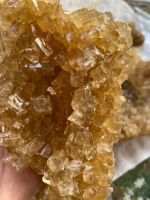 CANE-DERIVED SACCHAROSE / CLEAN LABEL / NATURAL TASTE
