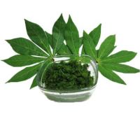 PREMIUM FROZEN CASSAVA LEAVES / NATURAL ENERGY / FIBER-RICH / NO ADDITIVES