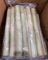 SUGARCANE FROZEN STICKS / PLANT-BASED / READY