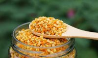 GOLDEN BEE POLLEN / RICH IN FIBER, SUPPORTS DIGESTION / GOLDEN COLOR, NATURAL AROMA / VIETNAM