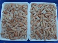 PREMIUM CANNED CRAB / NO ADDITIVES / READY TO EAT / OCEAN HARVESTED