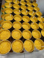 ALL-NATURAL SWEET CORN / CLEANLY PROCESSED / NO PRESERVATIVES