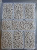 CANNED CRAB MEAT / CLEAN LABEL / PURELY PACKED / SEAFOOD SELECTION
