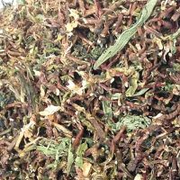 TRADITIONAL VIETNAMESE TEA / SON MAT INFUSION / PLANT-BASED