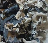 PURE DRIED BLACK FUNGUS / CLEAN LABEL / PLANT-BASED / NATURAL TEXTURE