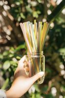 Clean Label Rice Straw / Bio-based / Single-use Safe Alternative Clean Label Rice Straw / Bio-based / Single-use Safe Alternative