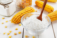 PREMIUM CORN STARCH / SIMPLE FORMULA / PLANT