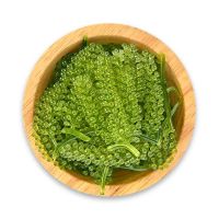 SEA GRAPE ALGAE / VEGAN FRIENDLY / CLEAN INGREDIENT / SALTED PACK
