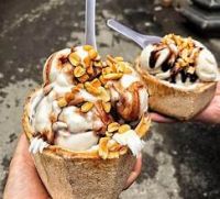 DAIRY FREE COCONUT CREAM WITH BOTANICAL BLEND INCLUDING TERMINALIA CATAPPA  IDEAL FOR WHOLE FOOD RECIPES