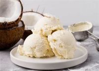 VEGAN COCONUT CREAM WITH TERMINALIA CATAPPA LEAF EXTRACT FOR IMMUNE-FRIENDLY FOOD AND BEVERAGE PRODUCTION