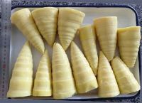 NATURAL BAMBOO SHOOTS VEGAN FRIENDLY From Vietnam