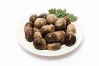 NATURAL SALTED STRAW MUSHROOM / CLEAN TASTE / PLANT BASED / NO ADDITIVES