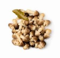 PURE SALTED MUSHROOM / WHOLE FOOD / NON-GMO / VEGAN FRIENDLY