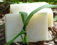 COCONUT OIL SOAP / VEGAN FRIENDLY / HIGH QUALITY / HANDCRAFTED