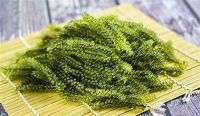FRESH GREEN CAVIAR SEAWEED / NATURAL OCEAN TASTE / CLEAN LABEL / VEGAN SNACK