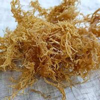 PREMIUM SEA MOSS DRIED / NATURAL MINERAL