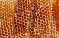 PREMIUM NATURAL HONEY COMB FOR ORGANIC WELLNESS SUPPORT AND SUSTAINABLE NUTRITION