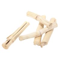 CHEWABLE SUGARCANE TOY / PLANT-BASED FORM / NATURAL FIBER / SAFE TEXTURE