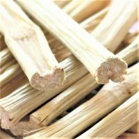 SUGARCANE DOG CHEW TOY / PLANT DERIVED / NO ADDITIVES / CLEAN SOURCE