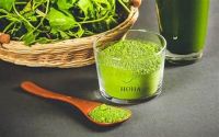 IMMUNE FRIENDLY HERBAL GOTU KOLA POWDER