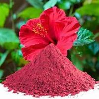 PREMIUM PLANT BASED HIBISCUS FLOWER POWDER