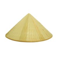 VIETNAM PALM LEAF HAT / NATURAL FIBER / CLEAN CRAFTED / SUSTAINABLE DESIGN
