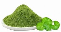 CLEAN LABEL BOTANICAL GOTU KOLA POWDER
