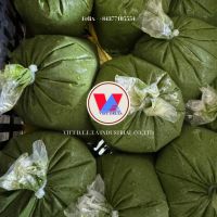 FROZEN GREEN CASSAVA LEAVES / PLANT-BASED