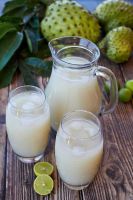 PURE SOURSOP CONCENTRATE / NO ADDITIVES / PERFECT
