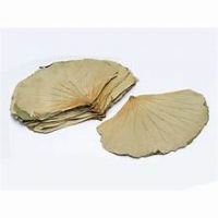 CLEAN LABEL DRIED LOTUS LEAF HERBAL