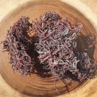 OCEAN MOSS / PLANT-BASED BOOST / CLEAN NUTRITION