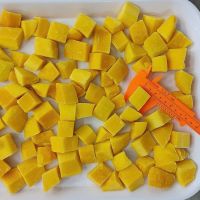 NATURAL GOLDEN MANGO FREEZE / IMMUNE CARE / CLEAN LABEL / HIGH QUALITY