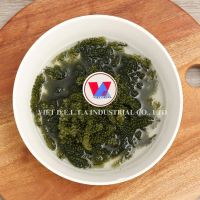 OCEANIC GREEN PEARLS SEA GRAPE / CLEAN LABEL / PLANT-BASED NUTRITION
