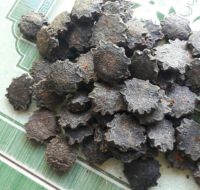 NATURAL GAC FRUIT NUT / ANTIOXIDANT RICH / PLANT-BASED / CLEAN INGREDIENT
