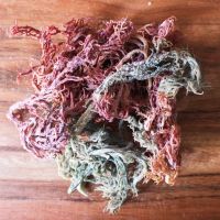 MARINE MOSS FUSION / IMMUNE SUPPORT / PURE & NATURAL