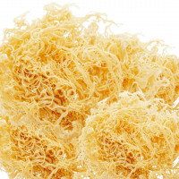BOTANICAL SEA MOSS / CLEAN LABEL / HIGH QUALITY