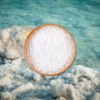 FINE SEA SALT BLEND / MINERAL RICH