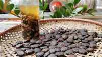 PURE NATURAL GAC SEED FROM MATURE GAC FRUIT FOR IMMUNE SUPPORT AND BODY WELLNESS FUNCTION
