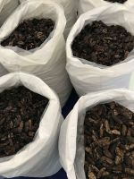 NATURAL DRIED NONI FRUIT / PLANT-BASED WELLNESS 