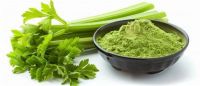 PREMIUM QUALITY PLANT BASED CELERY POWDER