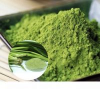 PANDAN LEAF POWDER FROM VIETNAM / AROMATIC